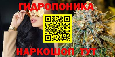 стафф Новокубанск