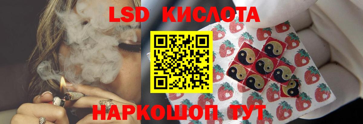 Галлюциногенные грибы Пыть-Ях