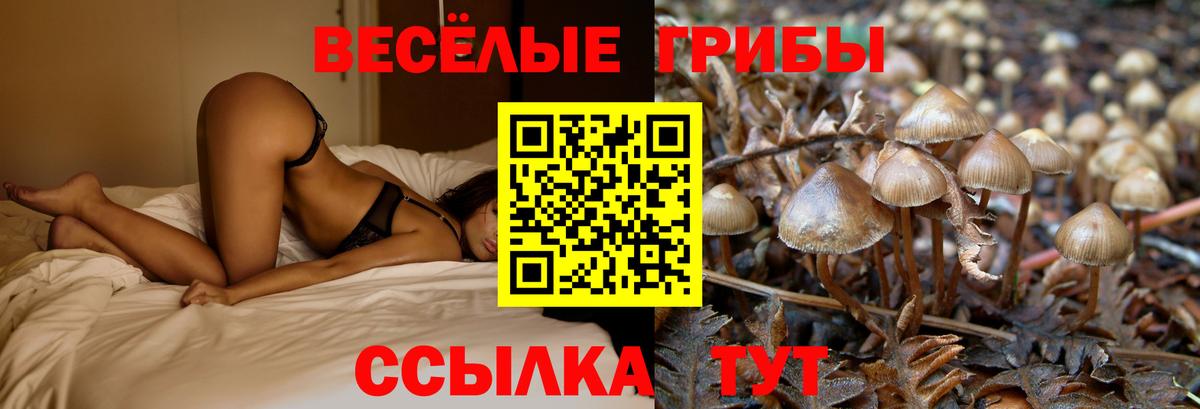 Пыть-Ях  Псилоцибиновые грибы GOLDEN TEACHER  что такое   Вход с VPN 